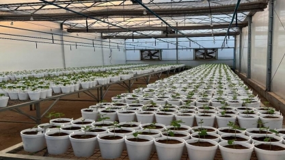 FS e Fundação MT firmam parceria estratégica em pesquisa aplicada com foco em inovação e sustentabilidade