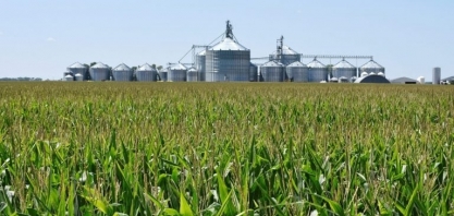Consumo de milho para etanol no Brasil pode mais que dobrar em breve