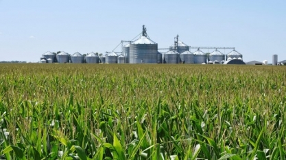 Consumo de milho para etanol no Brasil pode mais que dobrar em breve