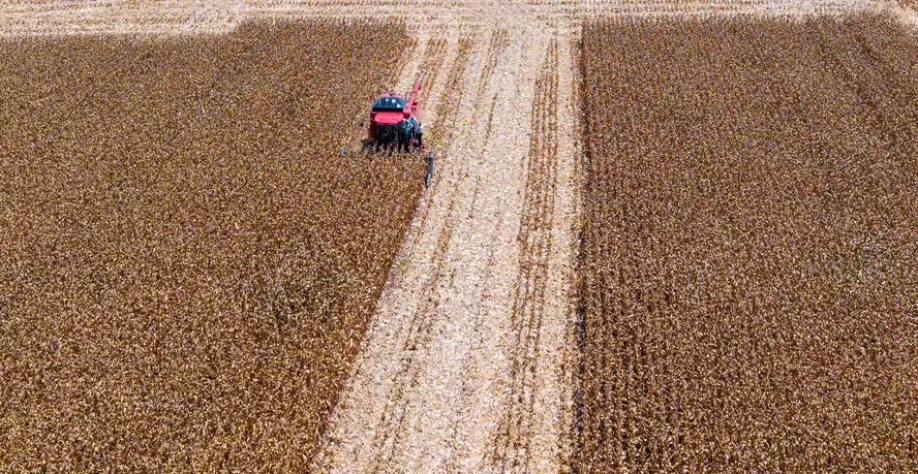 importantes na gestão financeira — Foto: Mauricio Tonetto / SecomRS