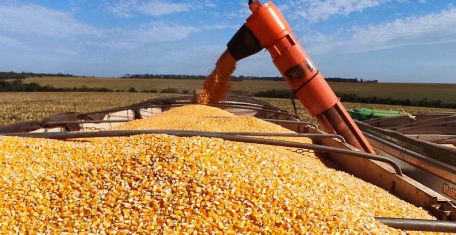 Foto: arquivo da Aprosoja/MS