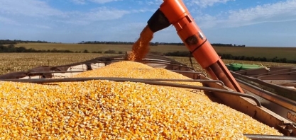 Produção de etanol de milho cresce no país e coloca MS entre os maiores produtores