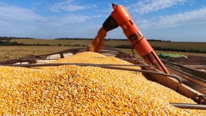 Produção de etanol de milho cresce no país e coloca MS entre os maiores produtores