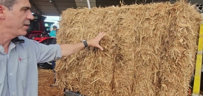Massey Ferguson lança na Agrishow 2025 enfardadora MF 2234 com foco na na palha da cana-de-açúcar