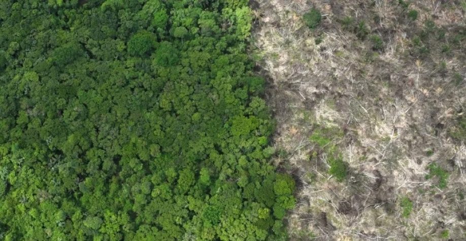 Área desmatada da Floresta Amazônica, no Brasil 21/01/2023 REUTERS/Ueslei Marcelino