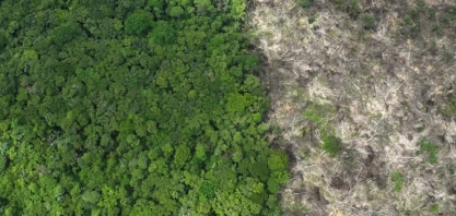 Entenda projeto aprovado no Senado que flexibiliza licenciamento ambiental