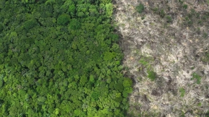Entenda projeto aprovado no Senado que flexibiliza licenciamento ambiental