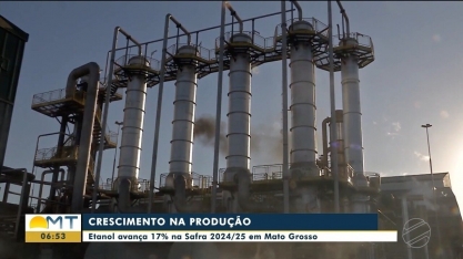 Safra recorde coloca MT em 2º lugar na produção de etanol do país