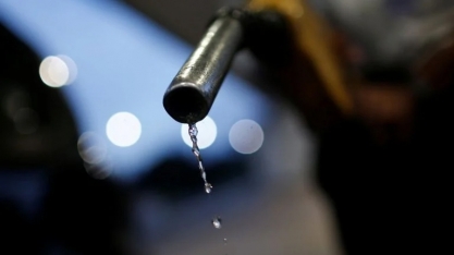 Evolua tem competitividade abaixo do esperado e Vibra analisa situação