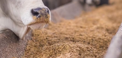 China abre cinco novos mercados para produtos do agro brasileiro