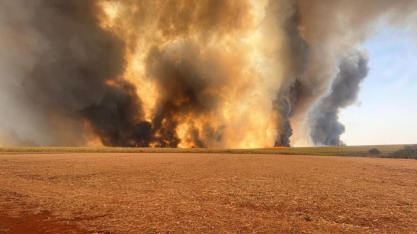 Canaoeste realiza workshop prático de combate a incêndio agroflorestal em Sertãozinho-SP