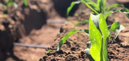 Diante das mudanças climáticas, Mato Grosso do Sul aposta em tecnologias para garantir o futuro da produção de grãos