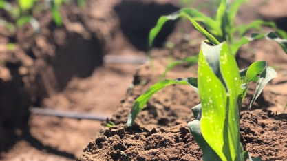 Diante das mudanças climáticas, Mato Grosso do Sul aposta em tecnologias para garantir o futuro da produção de grãos