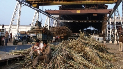 Índia deverá produzir 35 milhões de toneladas de açúcar na safra 2025/26