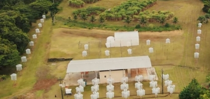 O agro brasileiro deve muito às pesquisas científicas.  E os pesquisadores do agro precisam do nosso apoio