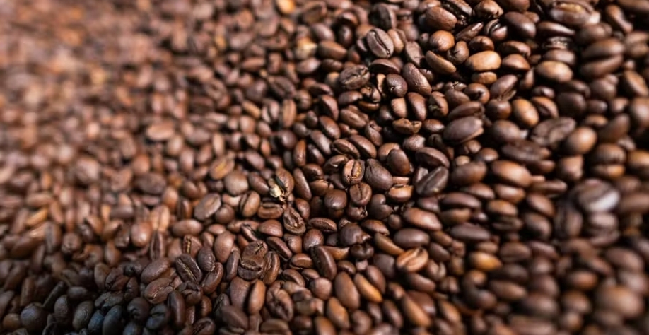 A pressão da oferta e volatilidade climática continuam sendo os principais fatores de influência para os contratos futuros de café — Foto: Wenderson Araújo/CNA