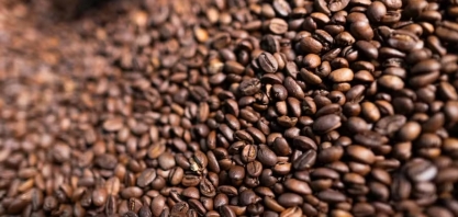 Café abre o dia em queda na bolsa de Nova York; cacau também cai, enquanto algodão opera com estabilidade e açúcar sobe