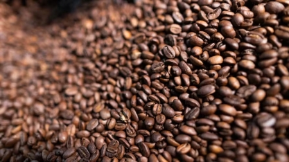 Café abre o dia em queda na bolsa de Nova York; cacau também cai, enquanto algodão opera com estabilidade e açúcar sobe