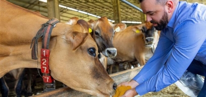 Pesquisas indicam que o DDGS da Inpasa é uma solução viável para substituir o farelo de soja 