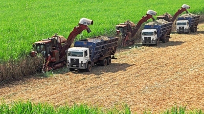 Produção de cana em Mato Grosso aumenta 4,1% na safra 2025/26