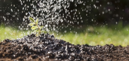 Crescimento nas entregas de fertilizantes ao setor agropecuário no início desde ano