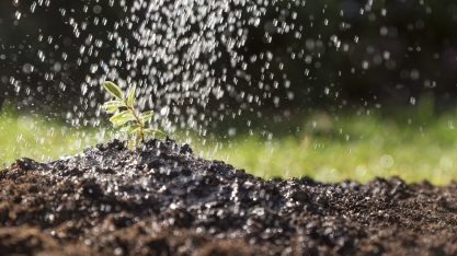 Crescimento nas entregas de fertilizantes ao setor agropecuário no início desde ano