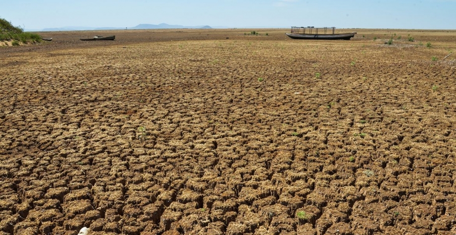 Estiagem em Alagoas - Foto: Agência Brasil/Arquivo