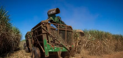 Preços do açúcar sobem e do etanol caem no primeiro mês da safra de cana 2025/26