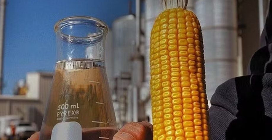 Cenário está menos favorável ao etanol de milho do que nos últimos anos, afirma a XP — Foto: CNA/Divulgação