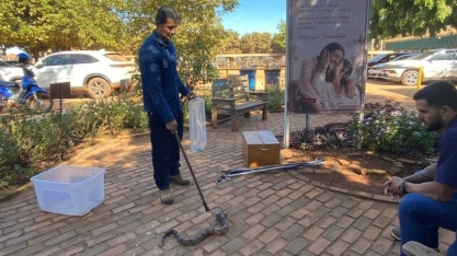 CRV Industrial capacita colaboradores para manejo seguro de serpentes e animais peçonhentos