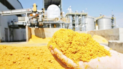 Produção cresce 18 vezes em 7 anos e consolida nova matriz