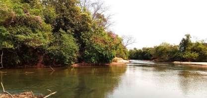 Alcoolvale divulga resultado de monitoramento ambiental de águas