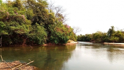 Alcoolvale divulga resultado de monitoramento ambiental de águas