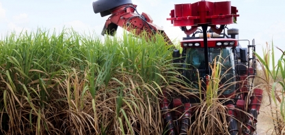 Demanda enfraquecida e comprador cauteloso impactam etanol