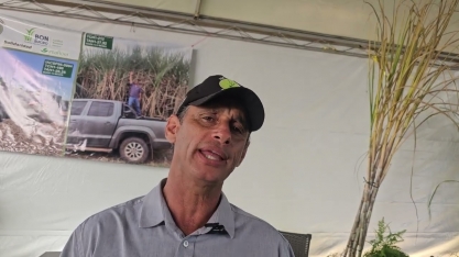 A Cana-de-Açúcar é tradição na Agrícola Trevizoli