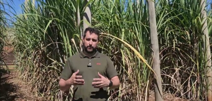 O tratamento de MPB faz parte do Programa Gennesis da FMC e será destaque no Cana Show-IAC 2025