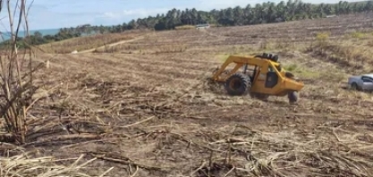 AL: das 17,4 milhões de toneladas de cana da safra 24/25, sete milhões foram de fornecedores
