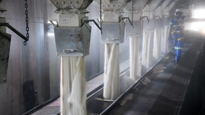 ISO prevê déficit global de açúcar recorde na safra 2024/25