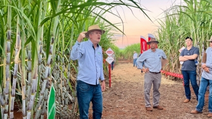 IACSP95-5094 foi destaque no 4o Dia de Campo da Agropecuária Barreiro Diamante