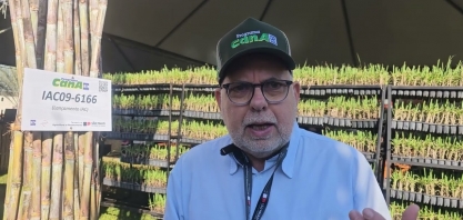 Espaço Cana do IAC na Agrishow apresentou a variedade IAC-09-6166