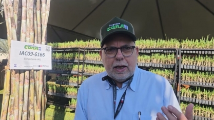 Espaço Cana do IAC na Agrishow apresentou a variedade IAC-09-6166