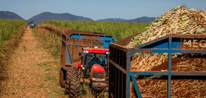 Alta do petróleo e provável redução na moagem do Centro-Sul do Brasil alavancam preços do açúcar