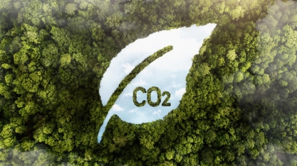 PL que permite uso de créditos de carbono para abater impostos é aprovado na Comissão de Agricultura