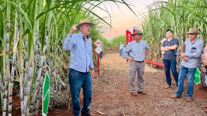 4o encontro de variedades da Fazenda Parreiro Diamante discute o futuro da produção de cana
