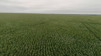 Temporais atingem o Paraná nesta quinta-feira