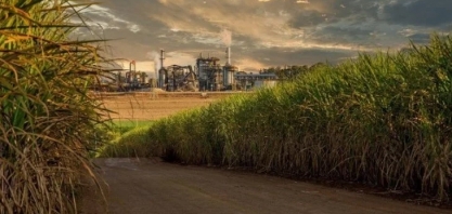 Moagem canavieira atinge 56,96 milhões de toneladasna reta final da safra no Norte e Nordeste
