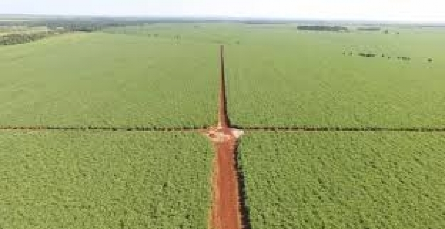 Biorreator captura o metano produzido pela pecuária e agricultura e produz fertilizante