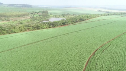 Batatais e Cevasa fecham parceria com Vivo que pode levar conectividade para mais de 700 mil hectares
