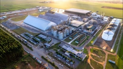 Gigante de etanol de milho, FS cresce 32% em um ano