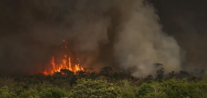 Câmara aprova aumento de punição a quem provocar incêndios florestais